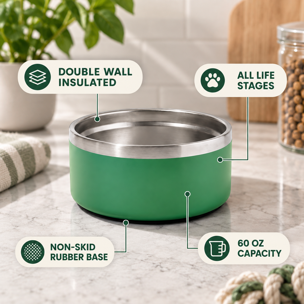 Double Wall Stainless Steel Pet Bowl